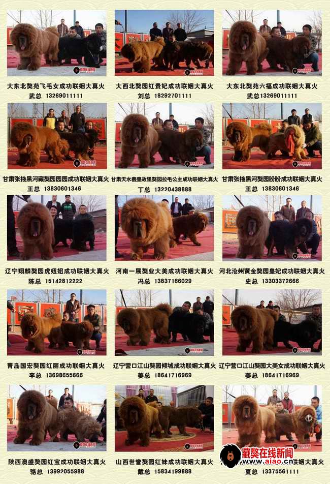 2014配種王,看得見的火(huǒ)爆巅峰 “大真火(huǒ)”聯姻大集錦