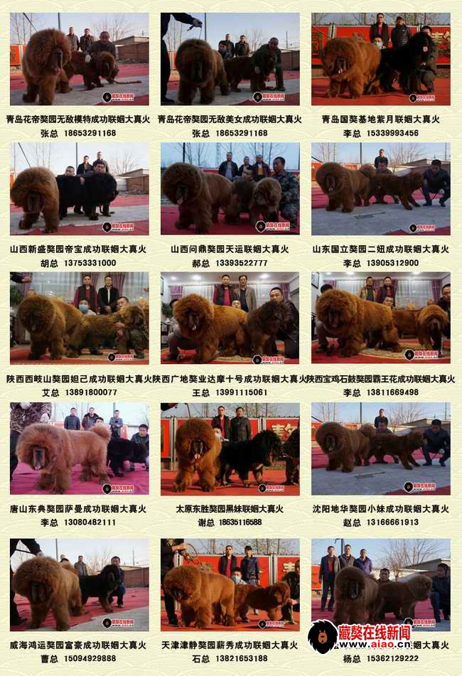 2014配種王,看得見的火(huǒ)爆巅峰 “大真火(huǒ)”聯姻大集錦