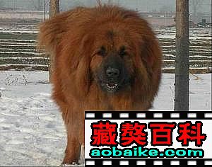 雷克直子(zǐ):雷子(zǐ) 雷克直子(zǐ):雷子(zǐ)